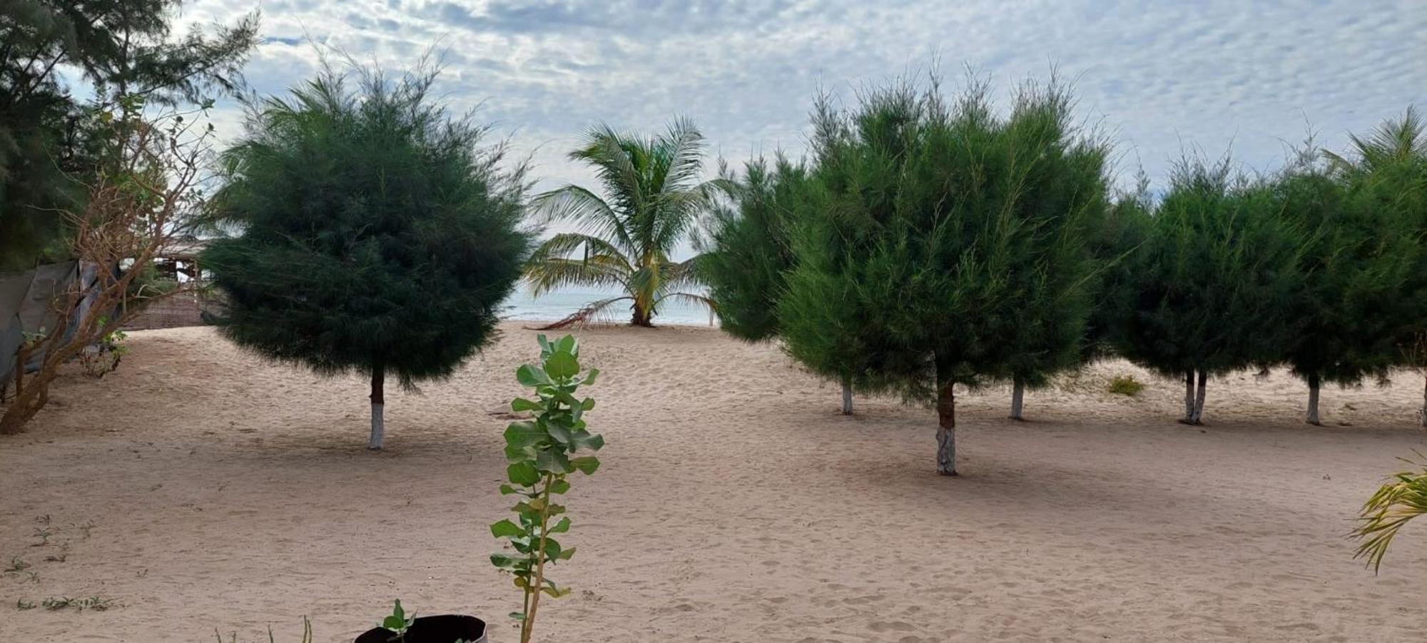 Mangrove Beach Sanyang Exterior foto