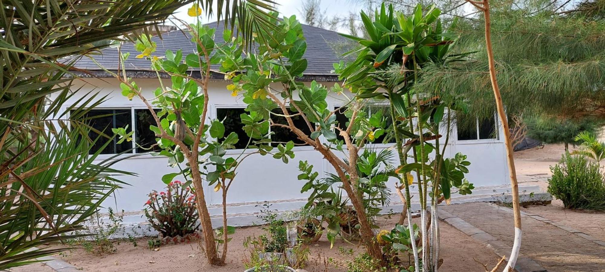 Mangrove Beach Sanyang Exterior foto